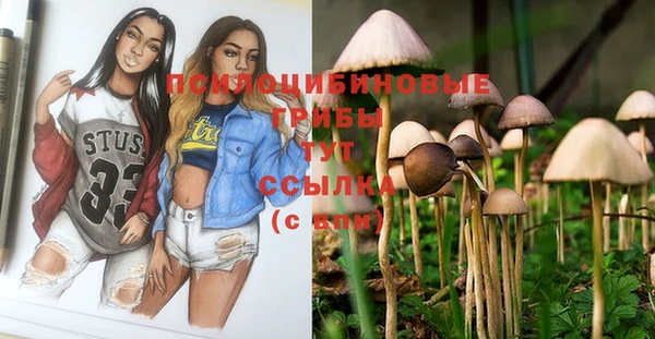 соль курить ск Верея
