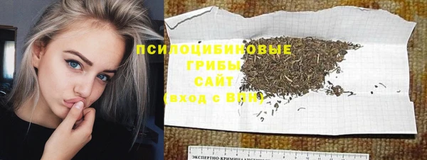 таблы Верхний Тагил